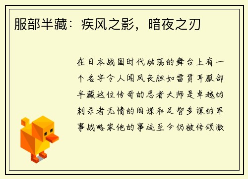 服部半藏：疾风之影，暗夜之刃